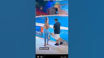 لين انصدمت من الدولفين بالمسبح باسها واعطاها وردة بتجنن Shorts Youtubeshorts 