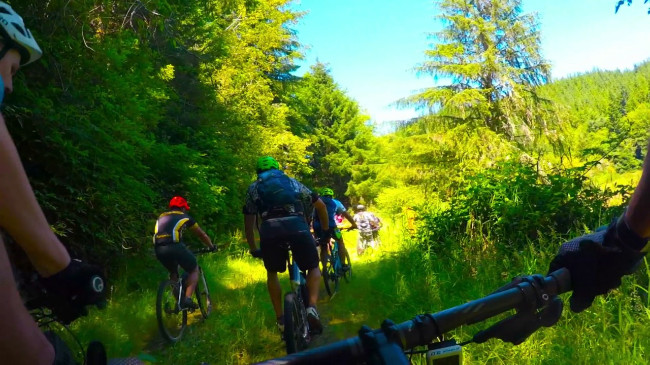 c2c bike transport