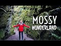 Exploring Lud's Church | Magical Mossy Wonderland | The Peak District