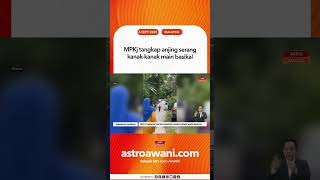 MPKj tangkap anjing serang kanak kanak main basikal