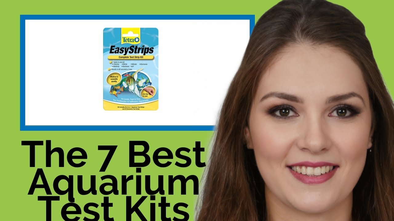 👉 The 7 Best Aquarium Test Kits 2020 (Review Guide) YouTube