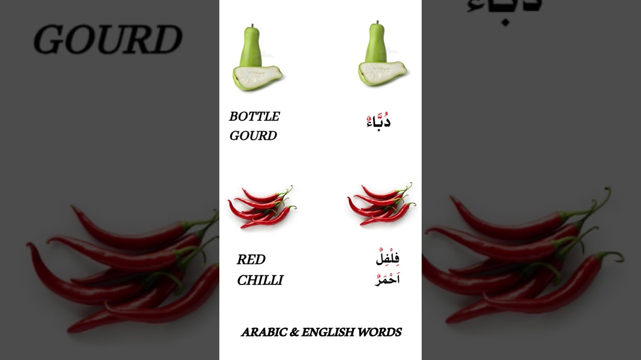 bottle gourd and red chilli#arabic an#english#words#explore#subscribe#my#youtube#channel#shorts#new