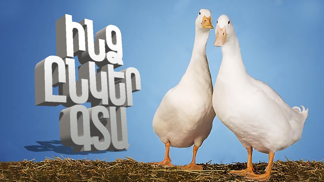 ԵԹԵ 2022 ԹԻՎ, ՈւՐԵՄՆ 2 ԱՆՇՆՈՐՀՔ ԲԱԴ 🐓 