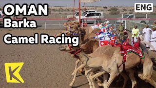 【K】Oman Travel-Barka[오만 여행-바르카]낙타 경주 대회/Camel/Al Fulaij Racing track/Sultan/Bedouin screenshot 5