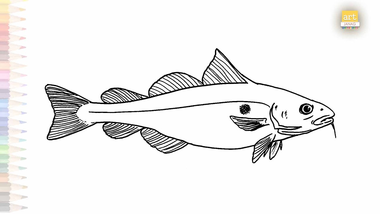 Had Doc Drawing Haddock fish drawing easy | Outline sketches | How to draw Haddock fish ...
