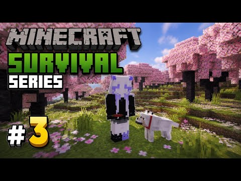 Minecraft Survival series 🎀 Part - 3 - YouTube
