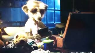 Compare The Market Com Uk Oleg Baby Safari Pictures Tv Advert 2015