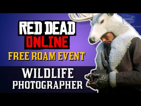 Red Dead Online - Free Roam Event: Wildlife Photographer [Naturalist Role]