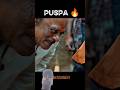 Puspa2 Movie Bollywood 