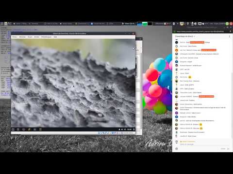 CKOIKIDI #13 : Solus