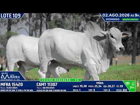 LOTE 109