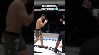 Onepunch Knockout  via Ufc Fight Passx