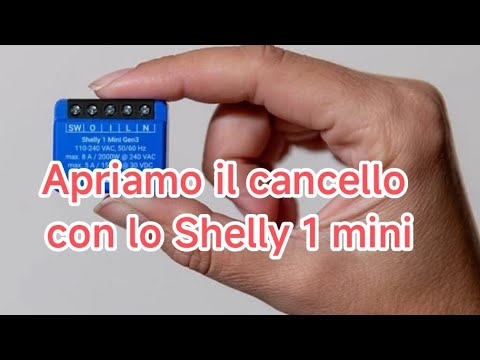 ⁣Automazione cancello faac con Shelly 1 mini gen 3 e Alexa