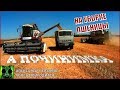 Началось в колхозе утро 5/13. На уборке пшеницы.