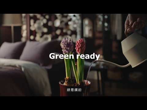 IKEA WINTER系列 - 綠意篇