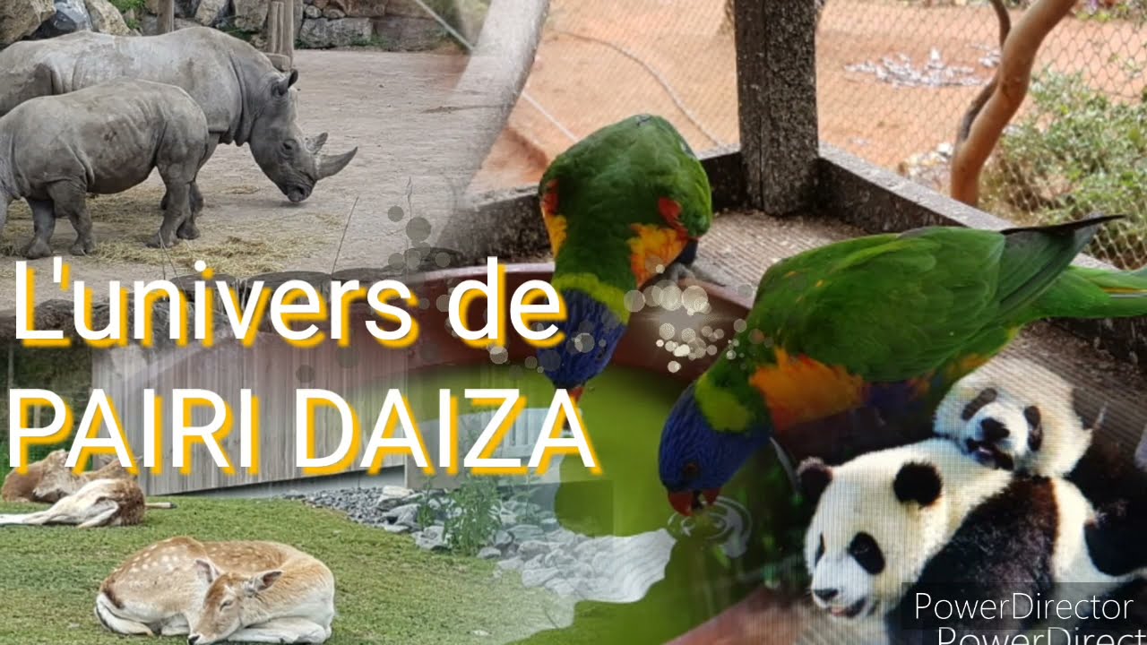 Pairi Daiza journée inoubliable 1ere partie