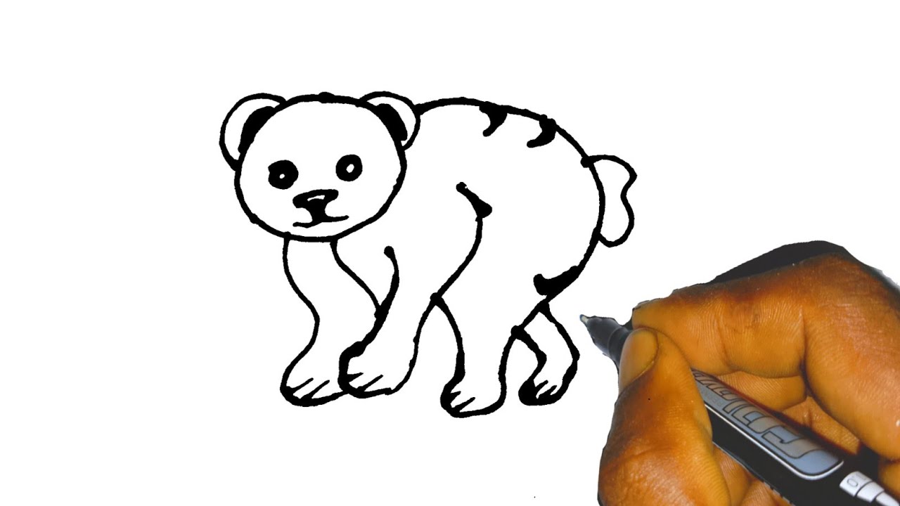 How _to_draw_bear_drawing_easy_step_by_step. number drawing.  artist Zahidul