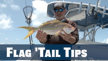 How To Tips & Tricks: Flag Yellowtail Snapper - Florida Sport Fishing TV PLUS - www.FSFTV.com
