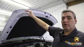 How to Install the EGR Matte Black Superguard Bug Shield