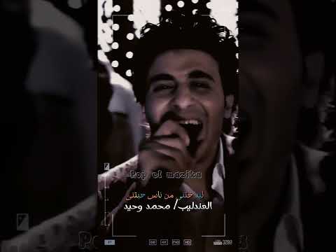 محمد وحيد تعرف تمشى