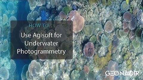 How to use Agisoft Metashape to create underwater photomosaics