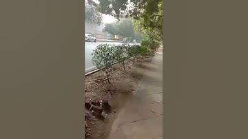 Ignou Solved Assignment BPY 12 2018-19