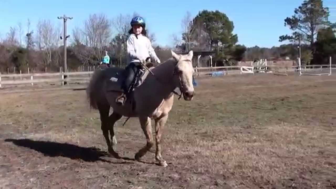 Horse riding lesson YouTube
