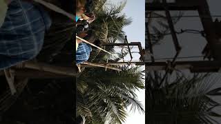 Olmara Masjid 2019 2 Floor