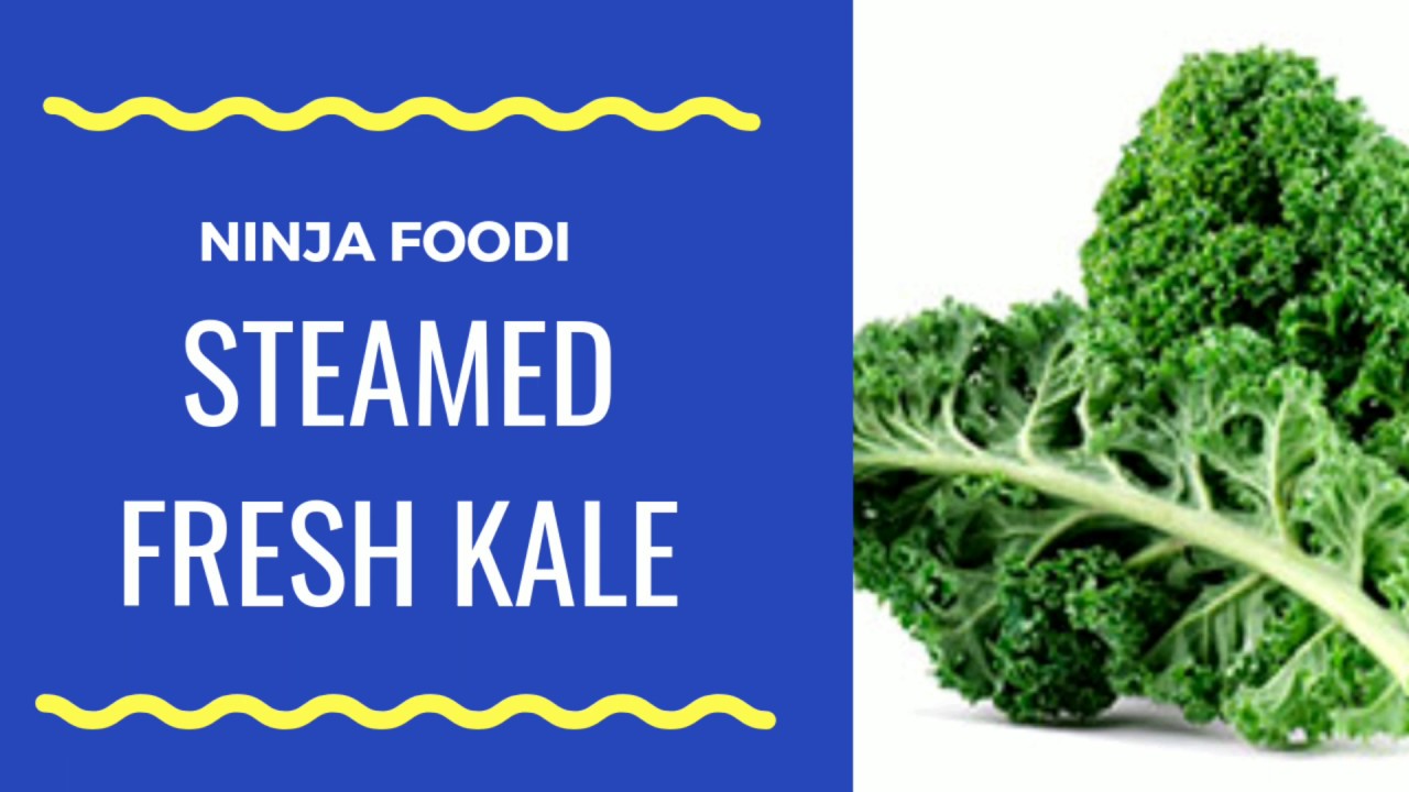 Ninja Foodi Steamed Fresh Kale YouTube