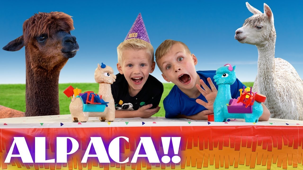 Don't Get Sprayed by the Alpaca!!