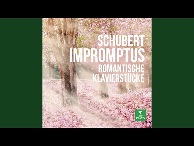 Schubert - Impromptu n° 1 : Rudolf Buchbinder