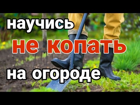 КАК ПОВЫСИТЬ ПЛОДОРОДИЕ ЗЕМЛИ / ПОЧВЫ. Как начать не копать землю.