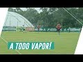 Sem folga, elenco do Palmeiras treina a todo vapor