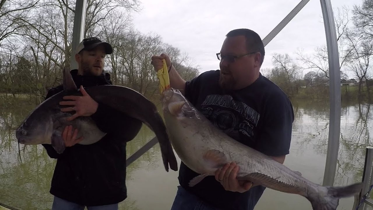 DOUBLED UP on BIG CATFISH Catfishing in High Creek Waters YouTube
