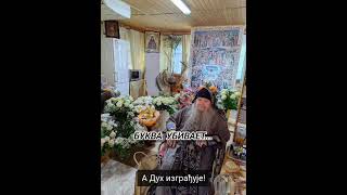 48. РЕЧ МОЖЕ ДА УБИЈЕ...#духовници #православље #проповединаруском #проповеди