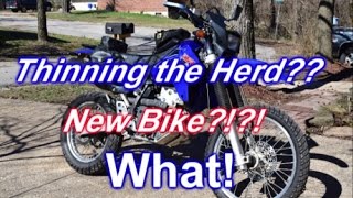 What?! A New Bike??