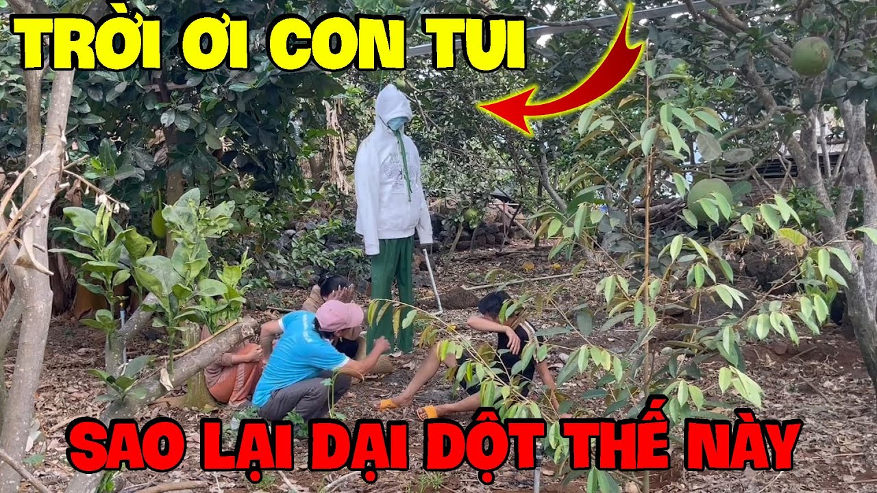 Hải Ka Nghĩ Quẩn Nên Đã Làm Điều Dại Dột Này ...