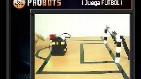 Video Probots