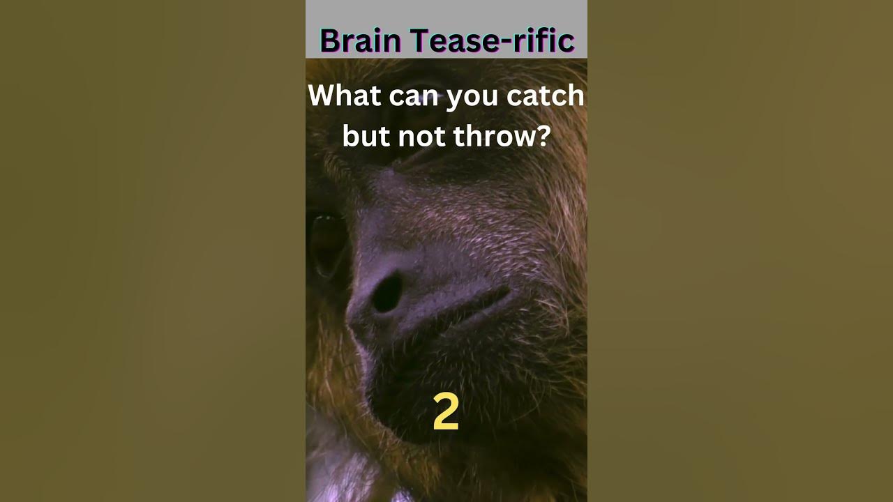 What can you catch but not throw? YouTube