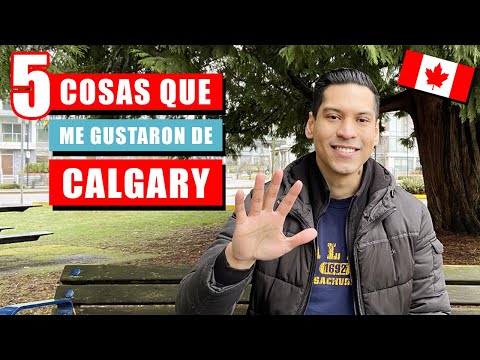 Vídeo: 24 Señales De Que Te Criaron En Calgary En Los Años 80