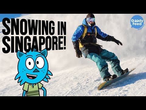 Video: Heeft het ooit gesneeuwd in Singapore?