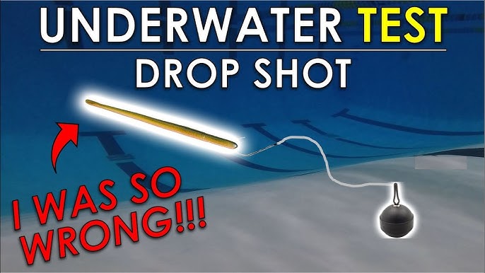 Zona's Awesome Dropshot Power Fishing Secrets! 