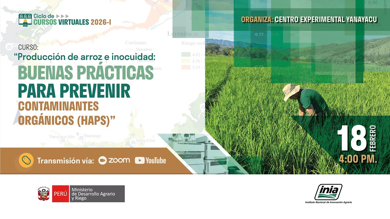 Producción de arroz e inocuidad: Buenas prácticas para prevenir contaminantes orgánicos (HAPs)