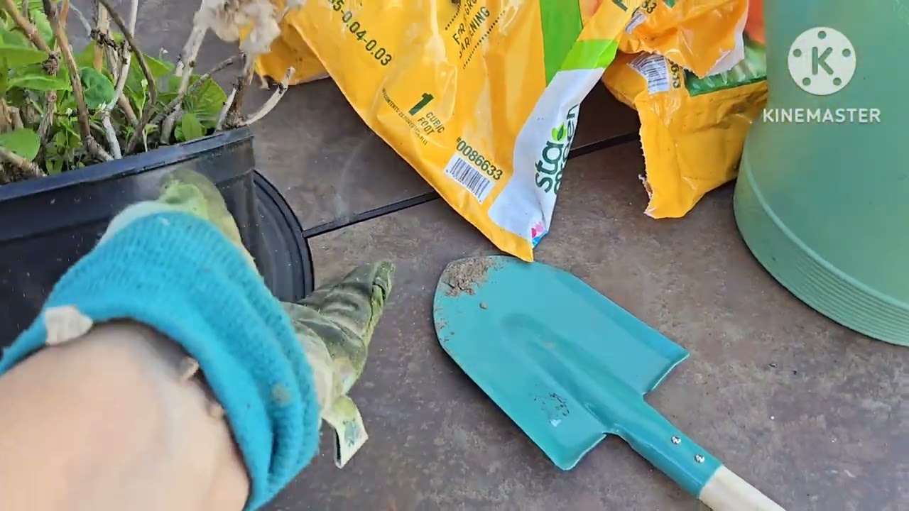 Garden War with My Dog Garden Update #2 2026 Gardening