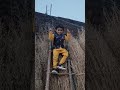chhot ababu का🕺😜 नया डांस सीढ़ी पर #shorts#viralvideo#short#shortsvideo#trending#rockstar