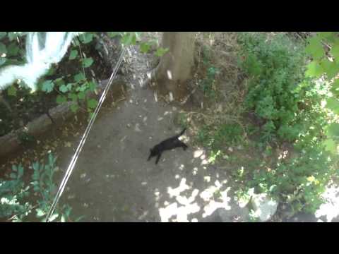 ვიფიქრე გავაგრილებ მეთქი