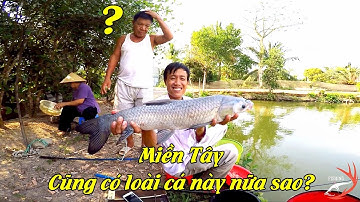 FISHING . NGHE TIẾNG RÍT DÂY THÔI CŨNG ĐỦ PHÊ.