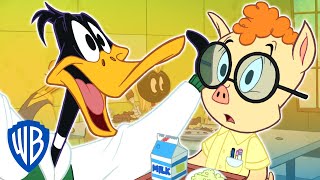 Looney Tunes | Daffy's High School Memory | WB Kids