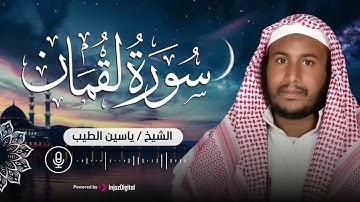 من كنوز القرآن الكريم    آيات تُرشد القلب   سورة لقمان بصوت القارئ ياسين الطيب