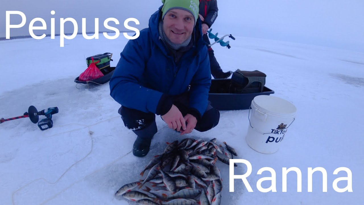 Peipuss, cope no viena āliņģa